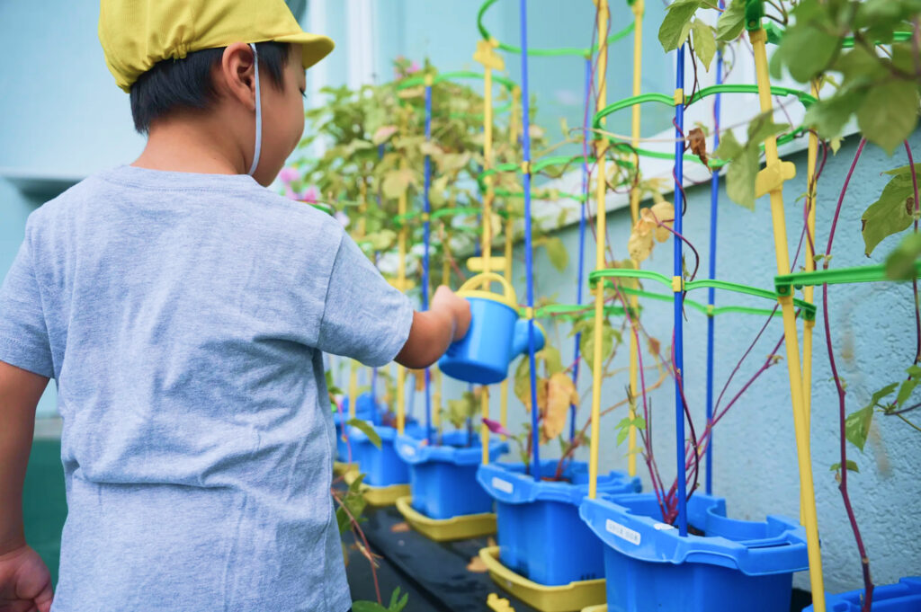 園で育てている植物にじょうろで水をあげる園児